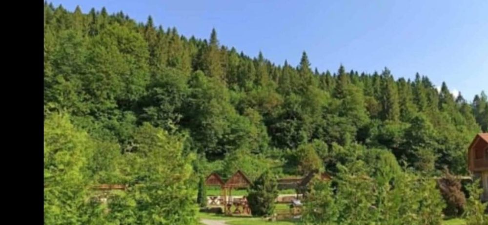 Vip апарт  в Садибі з Джерельною водою біля гори, лісу та Східниці