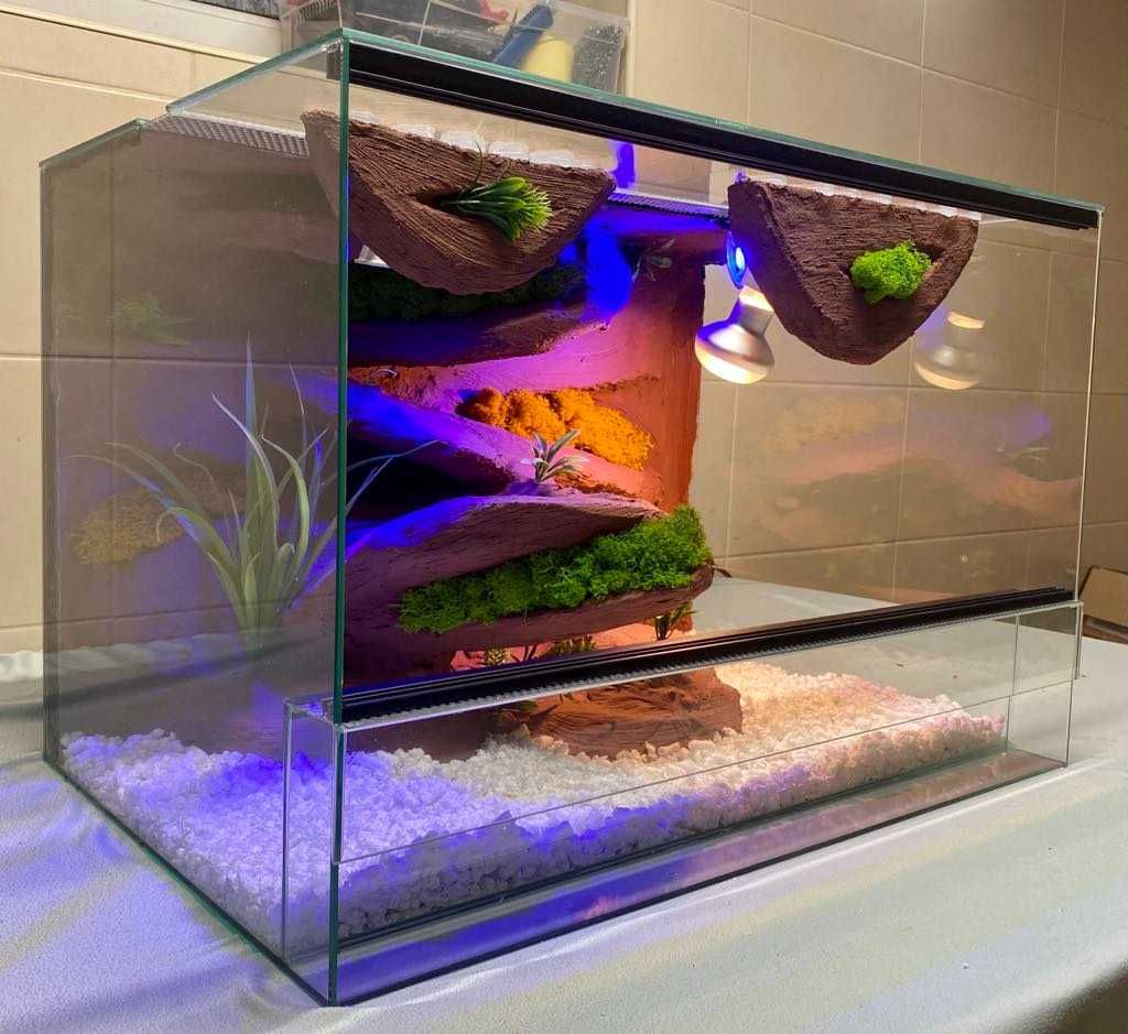 Nowe Terrarium 60x40x40 Gekon Lamparci, Jaszczurka