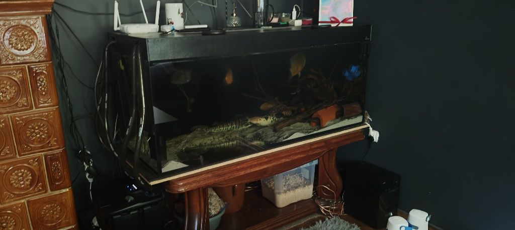 Akwarium 540L plus filtr