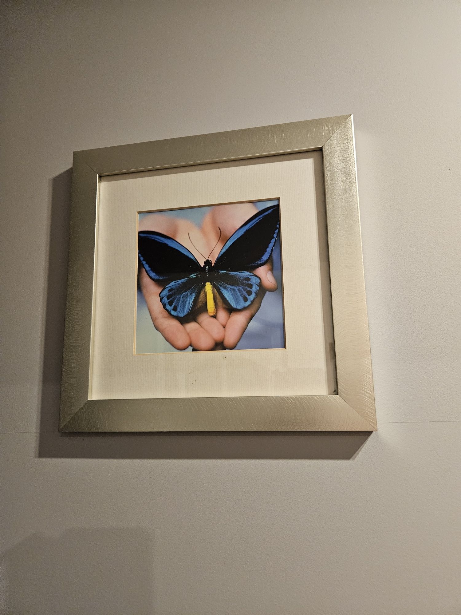 Komlet obrazów 30x30