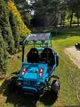 Ford F150 Buggy terenowy