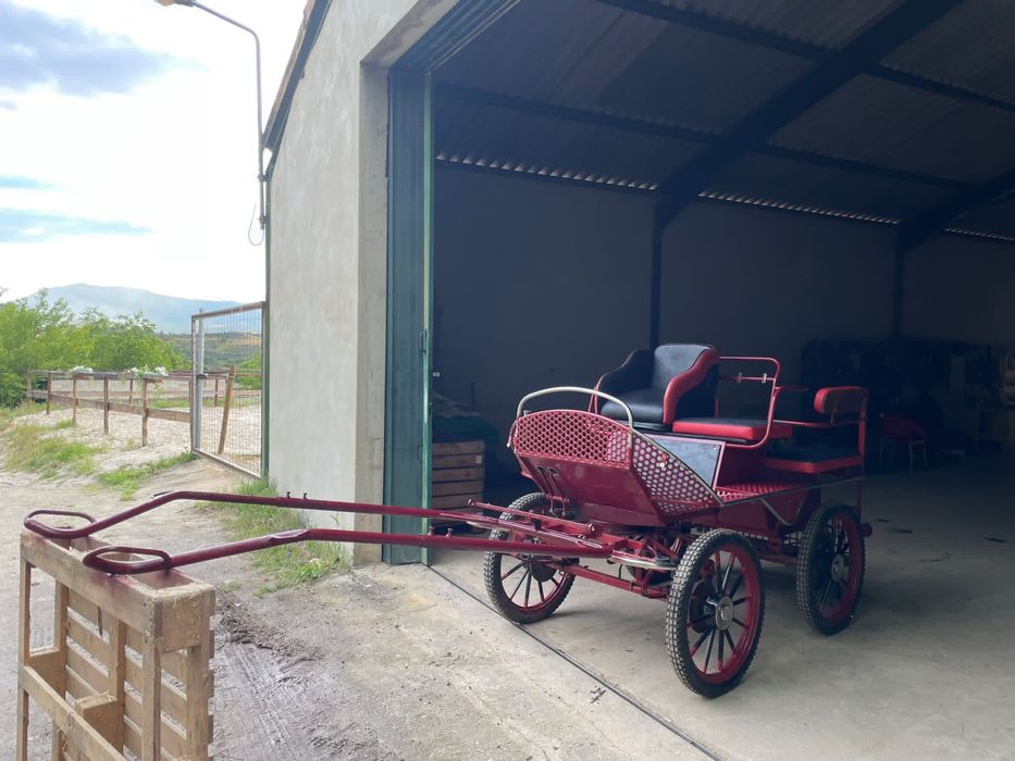 Maratona para cavalo