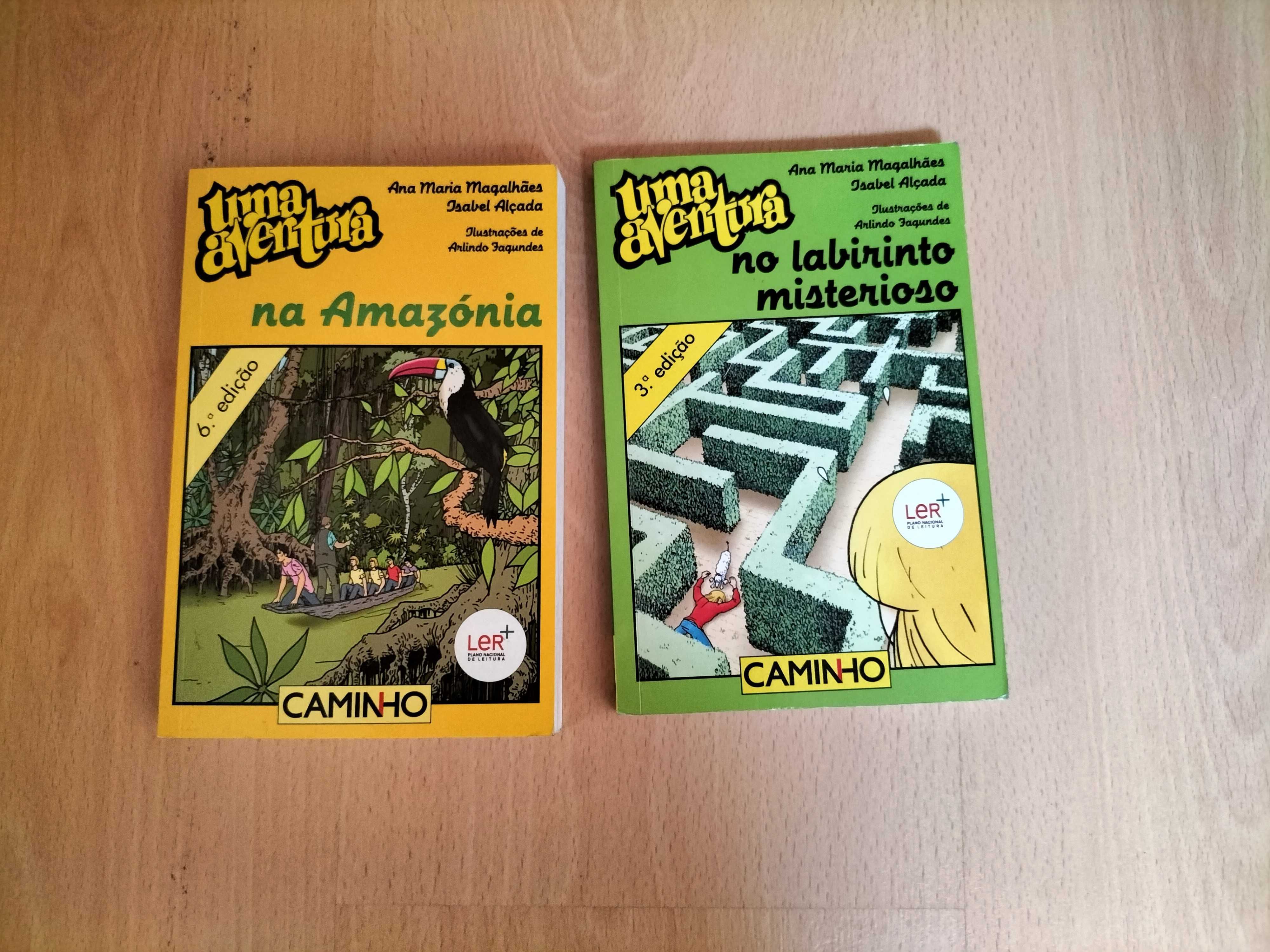 Lote de livros - Juvenil