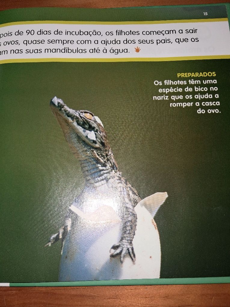 Livros infantis educativos