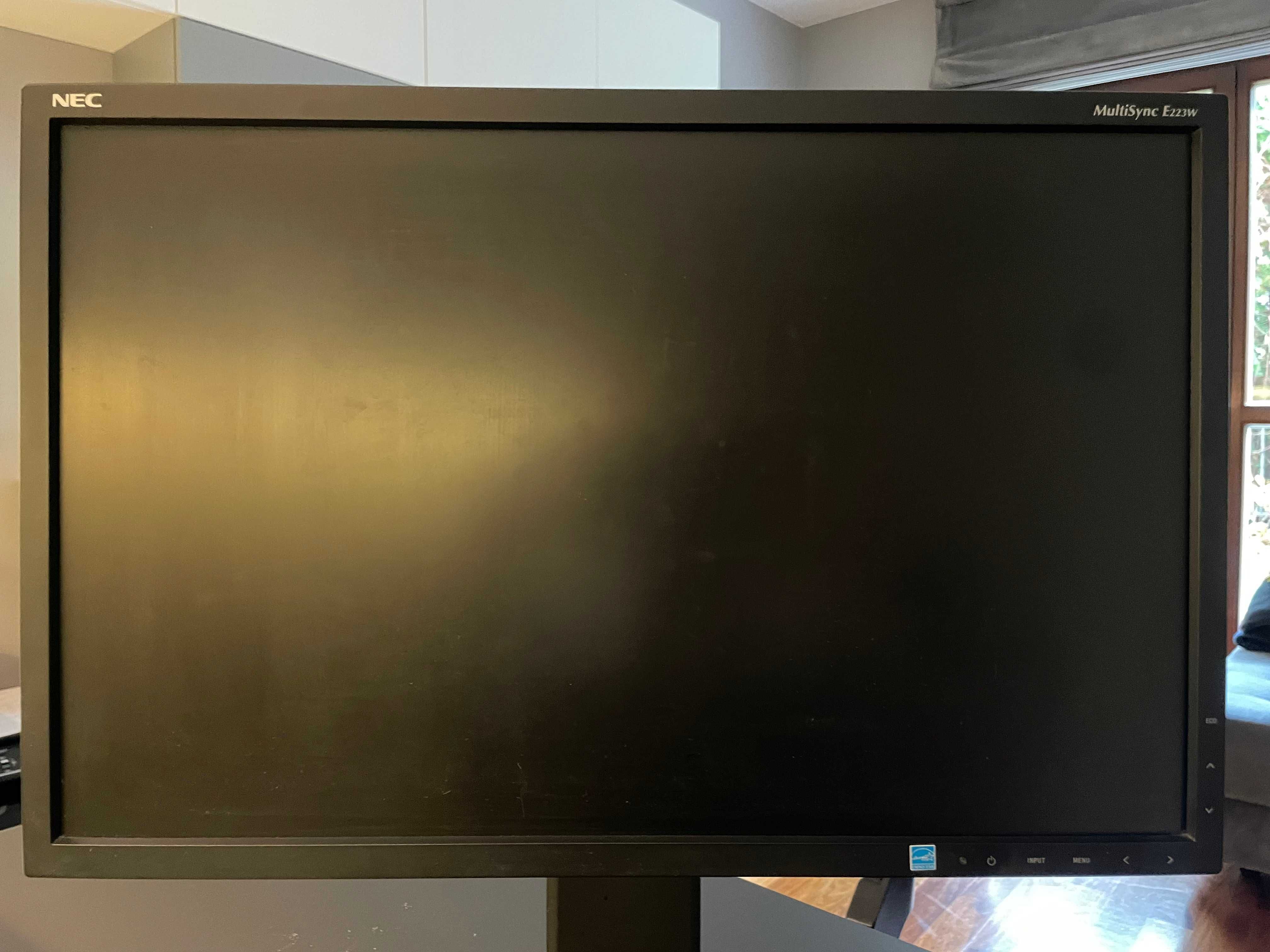 Monitor NEC MultiSync E223W