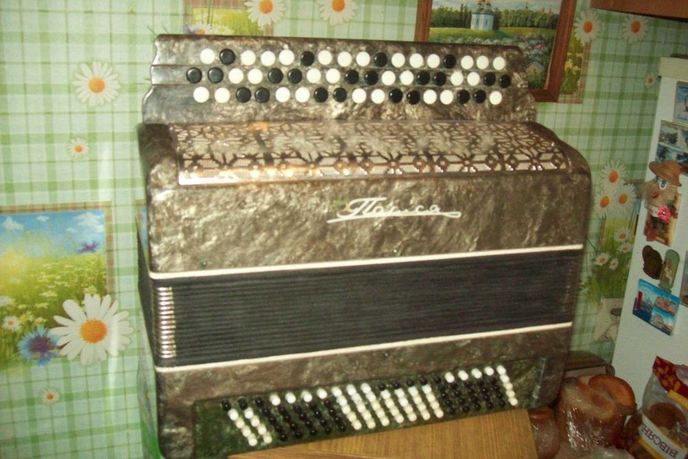 Гармонь ,гармошка,гармоника