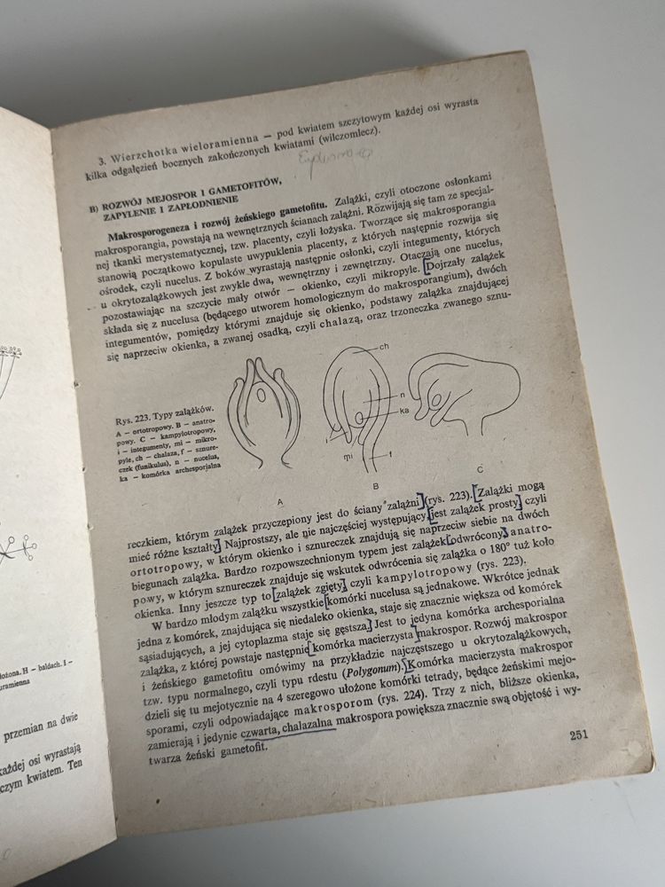 Botanika PWN bardzo dobry stan