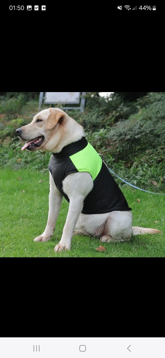 Nowa kurtka dla psa czarna wodoodporna wiatrówka ocieplana xl