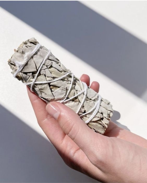 White Sage Біла Шавлія Белый Шалфей