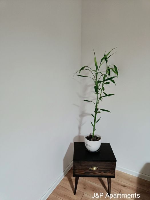 Apartament Aksamitny. Parking