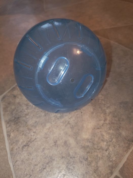 akcesoria dla chomika