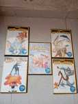 dvds looney tunes para crianças