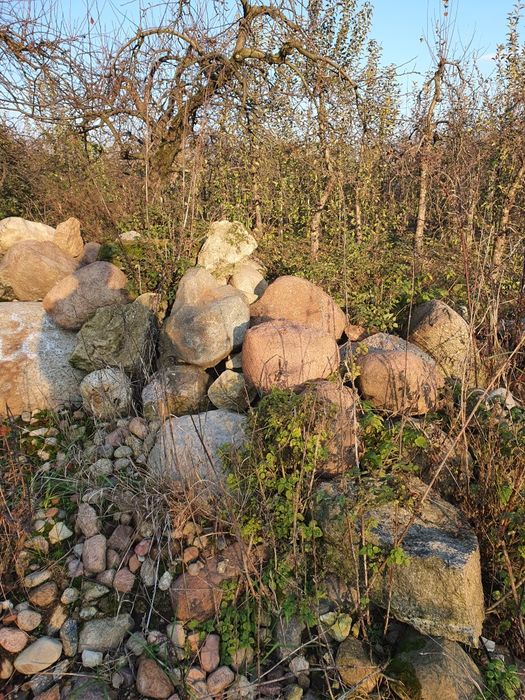 Kamień polny duże ilości