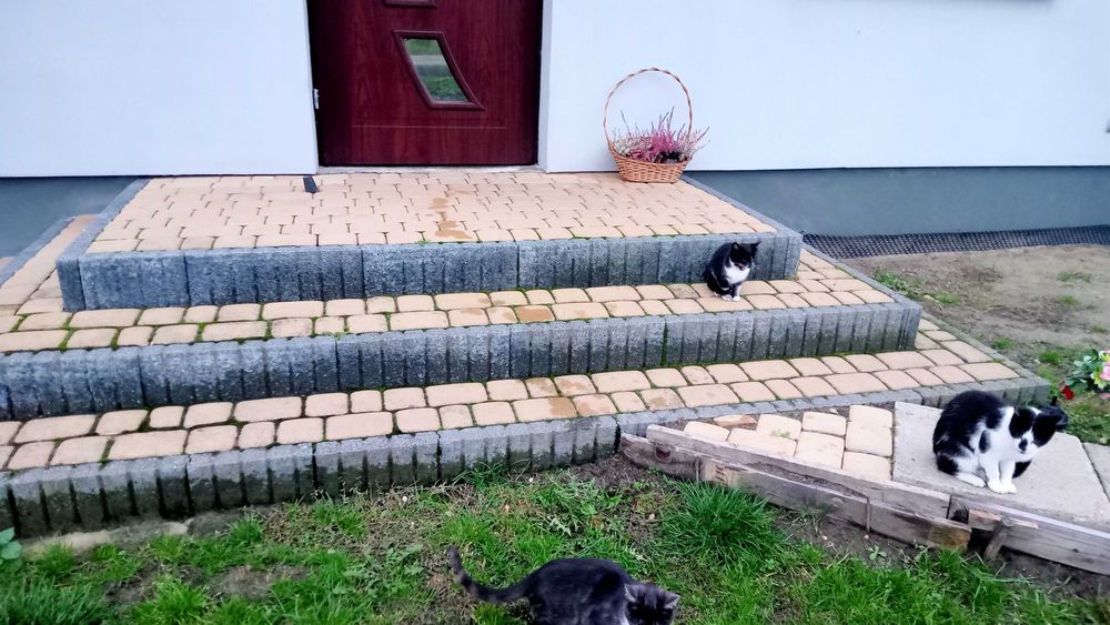 Kostka brukowa z rozbiórki jasna obrzeża
