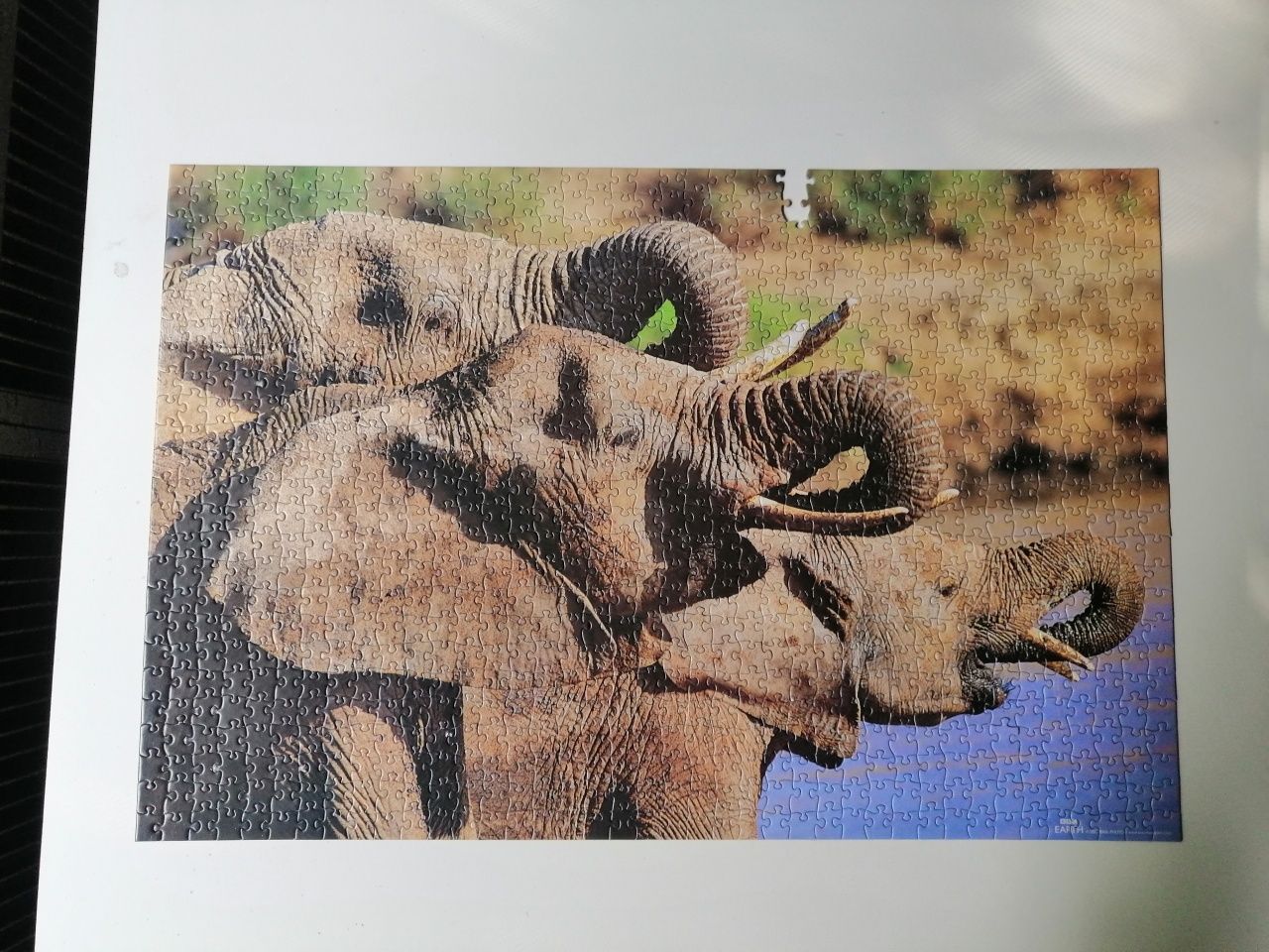 Puzzle 1000 elementów  bbc earth słonie