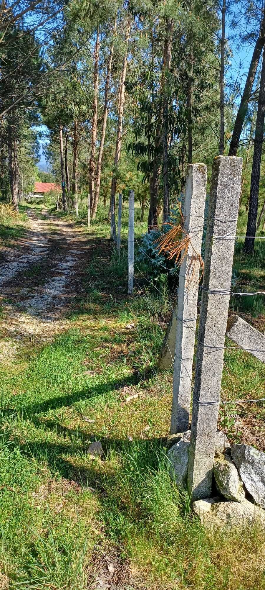 Quinta + Mata com vista para a Serra da Estrela