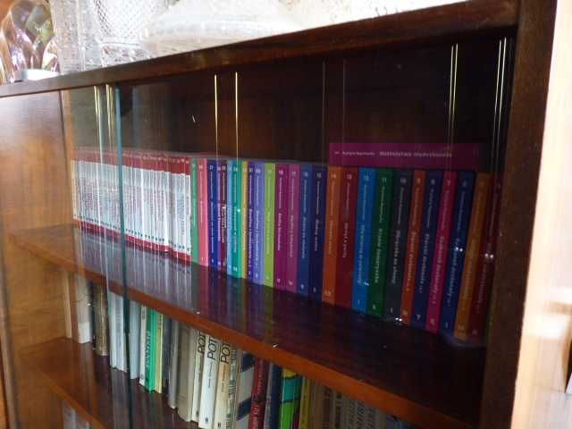Biblioteczka ( sześciolatka ) w Twardogórze spół. pracy stolarzy