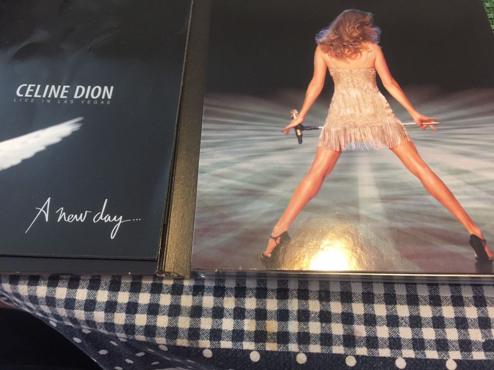 Dvd duplo novo celine dion a new day