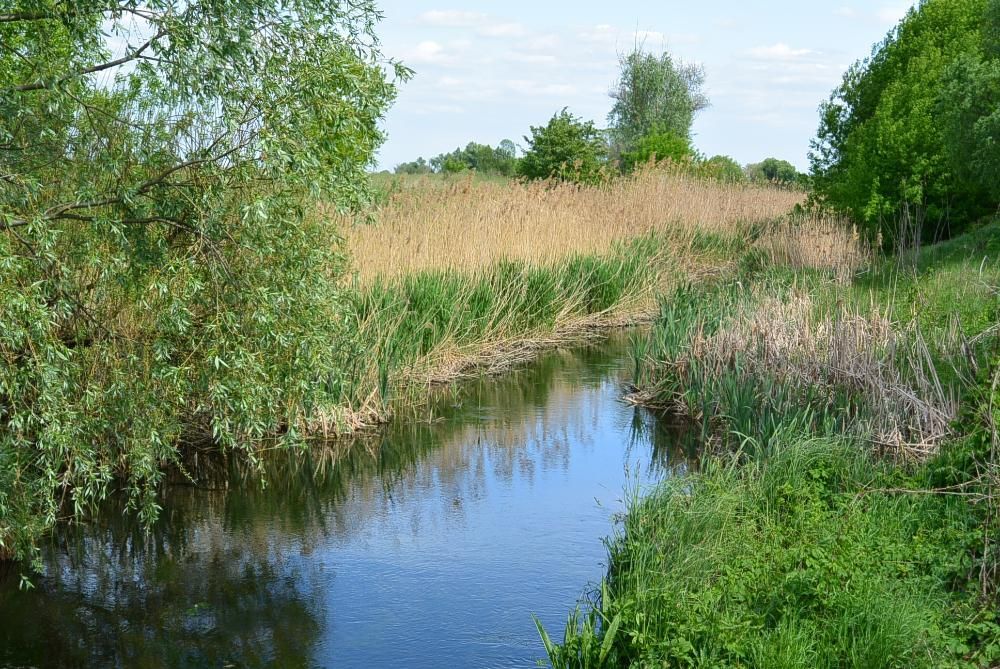 Участок, земельна ділянка 12 соток с.Гоголів