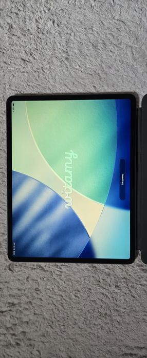 Ipad Pro 12,9 Cellular 256GB