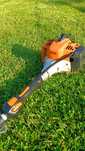 Nożyce do żywopłotu na wysięgniku  Stihl HL94