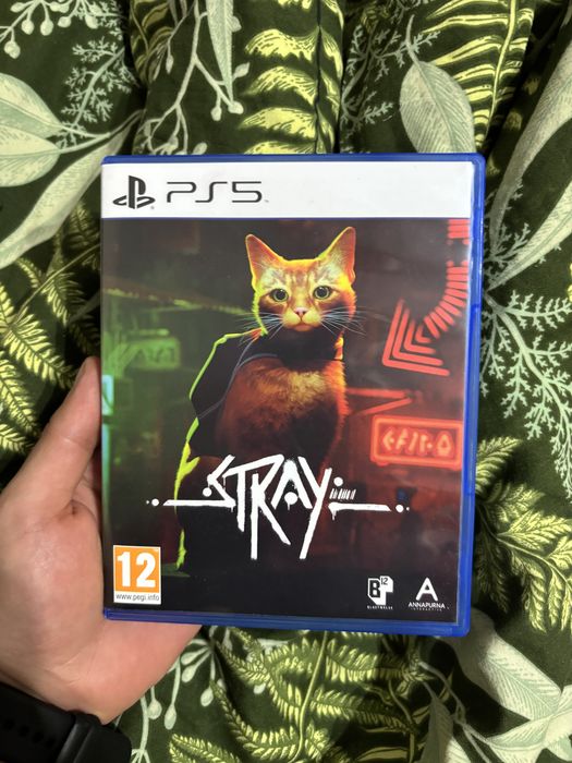Gra Stray Playstation 5