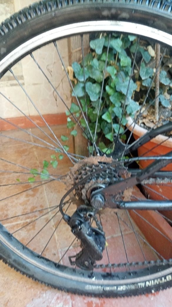 Bicicleta todo o terreno