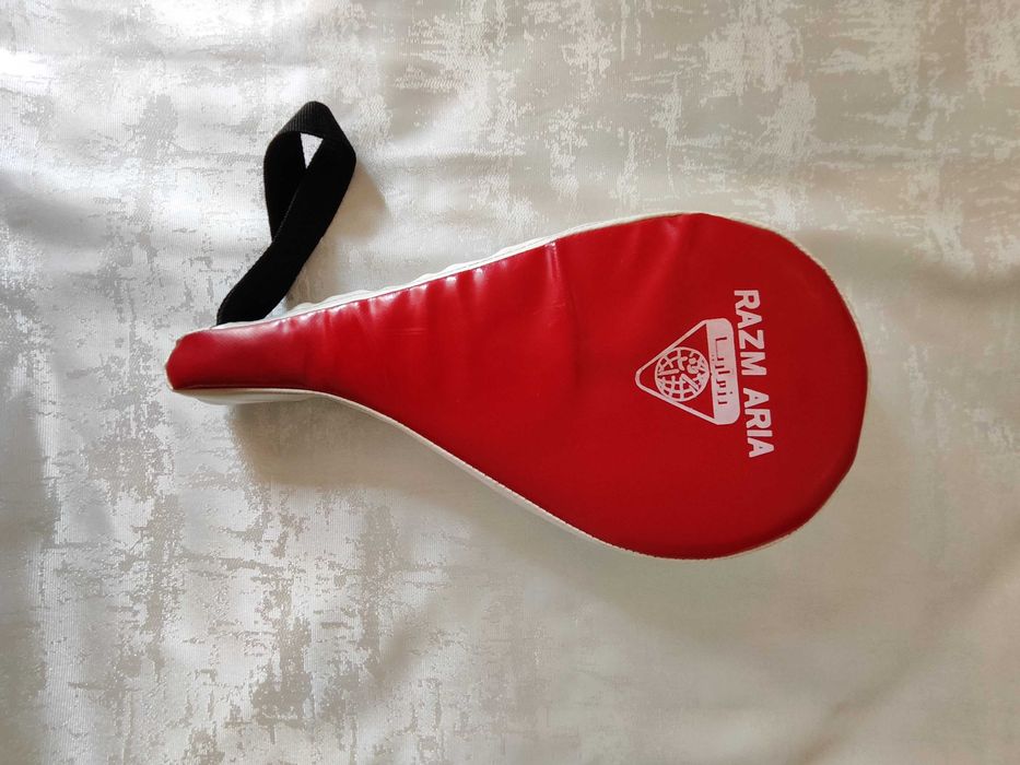 Sanda boxe taekwondo