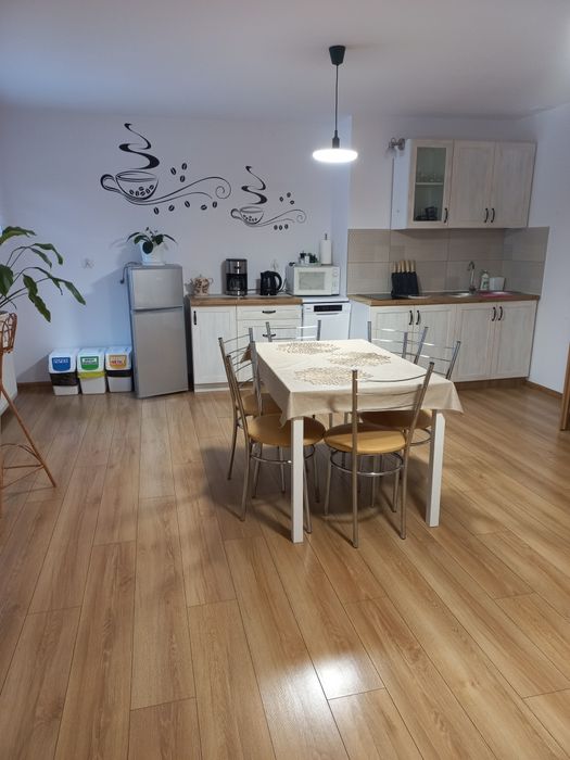 Apartament Drewniak - Bielice 13/1