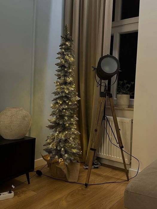 Choinka SLIM w doniczce + GRATIS