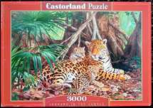 Puzzle Castorland 3000, Jaguars in the jungle.