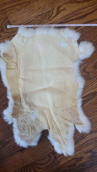 пропоную нові шкірки білого кролика породи панон
proponuyu novi shkirk