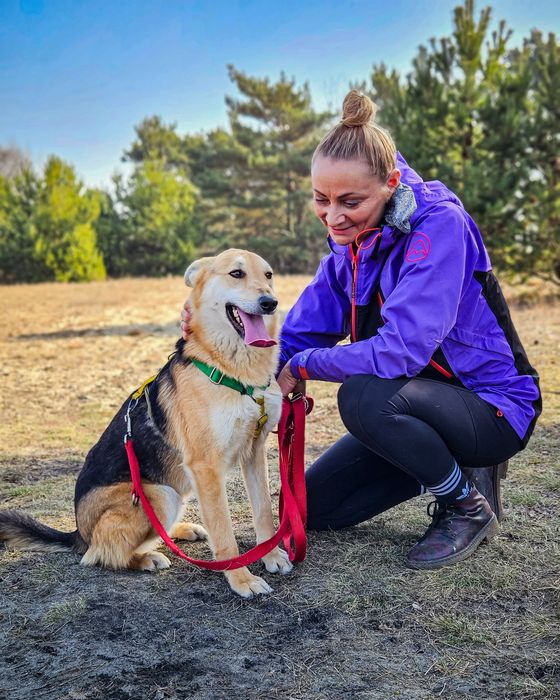 Jerry - od szczeniaka w schronisku, nigdy nie miał domu! Pomóż! :(