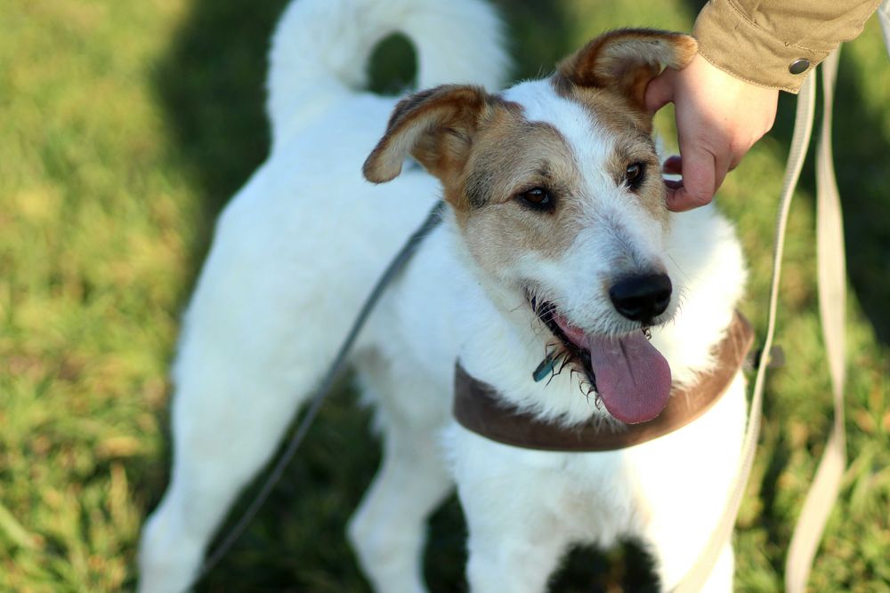 Kapitalny Beryl marnuje życie czekając na dom