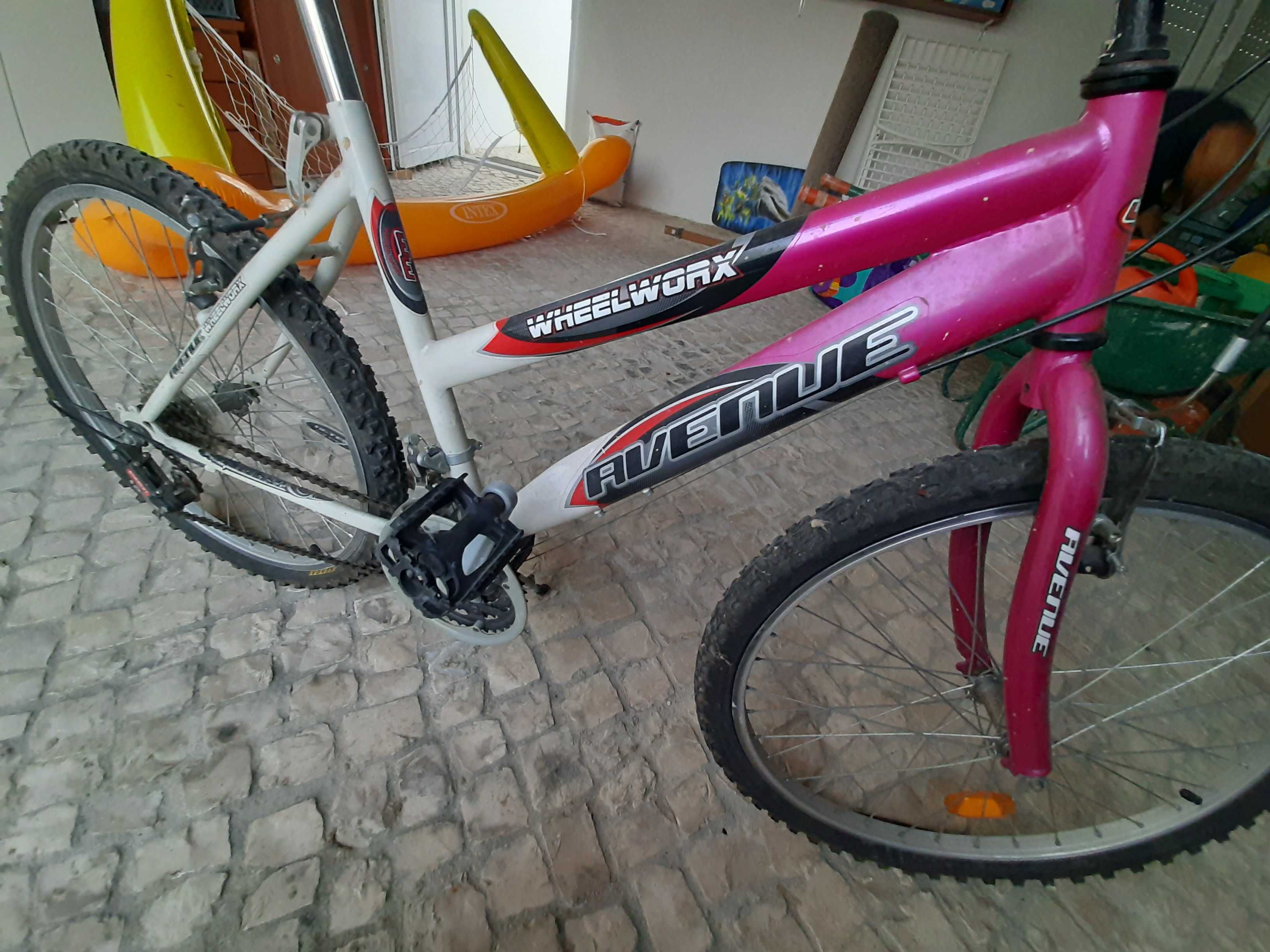Bicicleta quadro feminino Wheel Worx