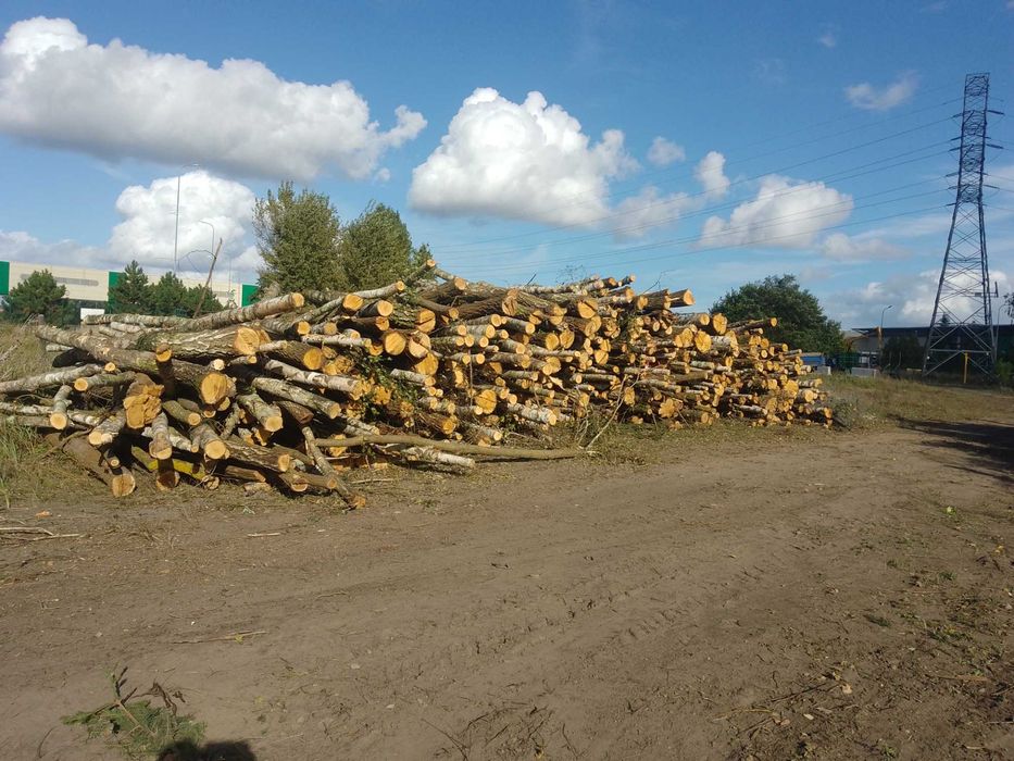 Drewno DRZEWO opałowe olcha brzoza OPAL liściasty kominkowy