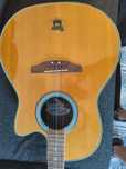 Guitarra ovation applause