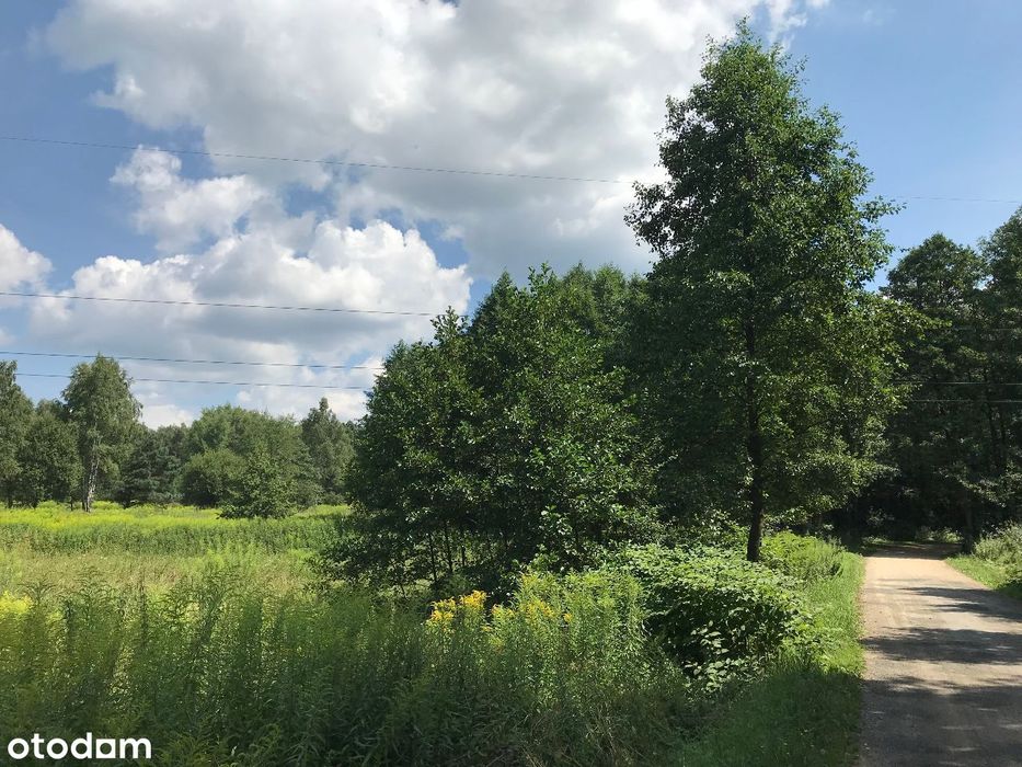 Działka budowlana Łazy/Głazówka