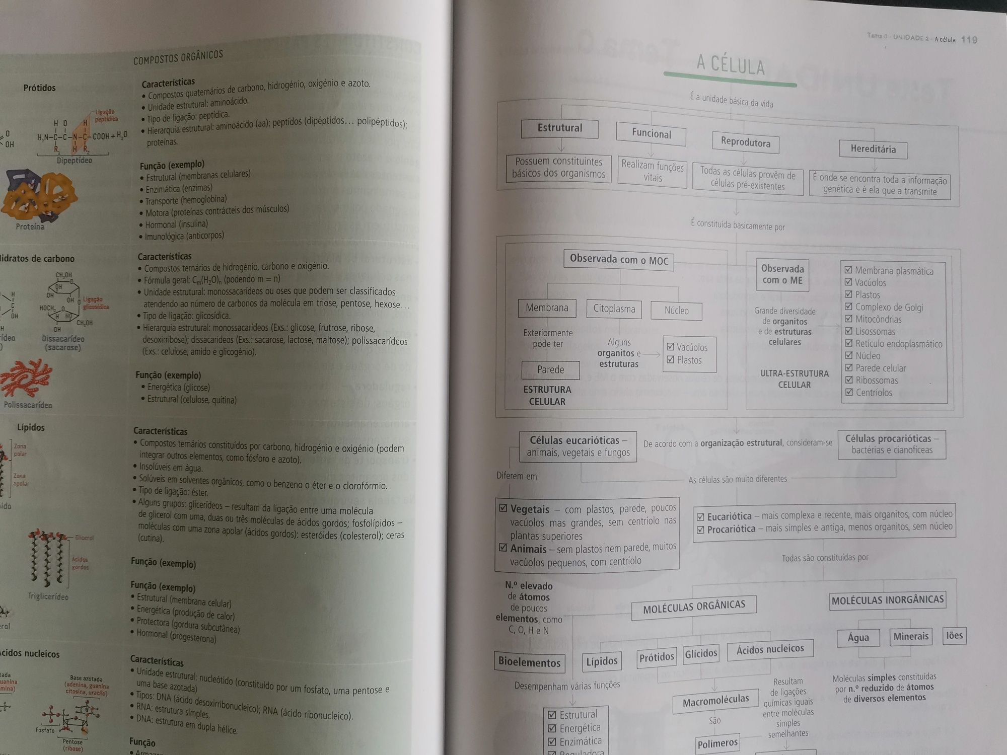 Manual de preparação exame Biologia geologia