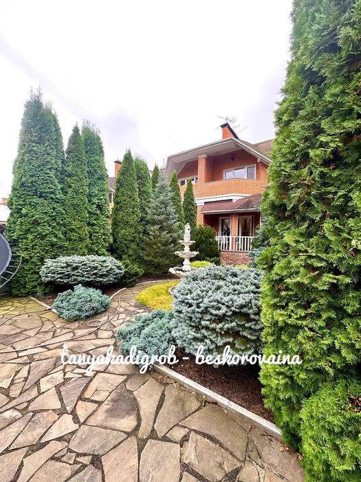 Оренда будинку ( таунхаус ), село Чайки