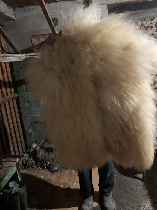 Сова сувенір різні є