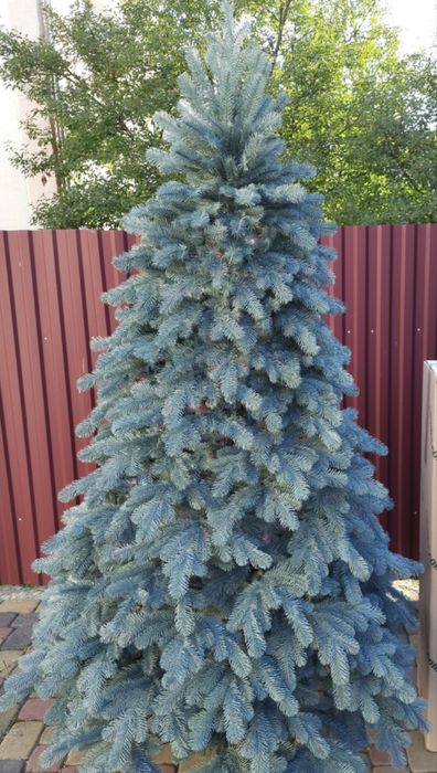 Ялинка шикарна лита 230см