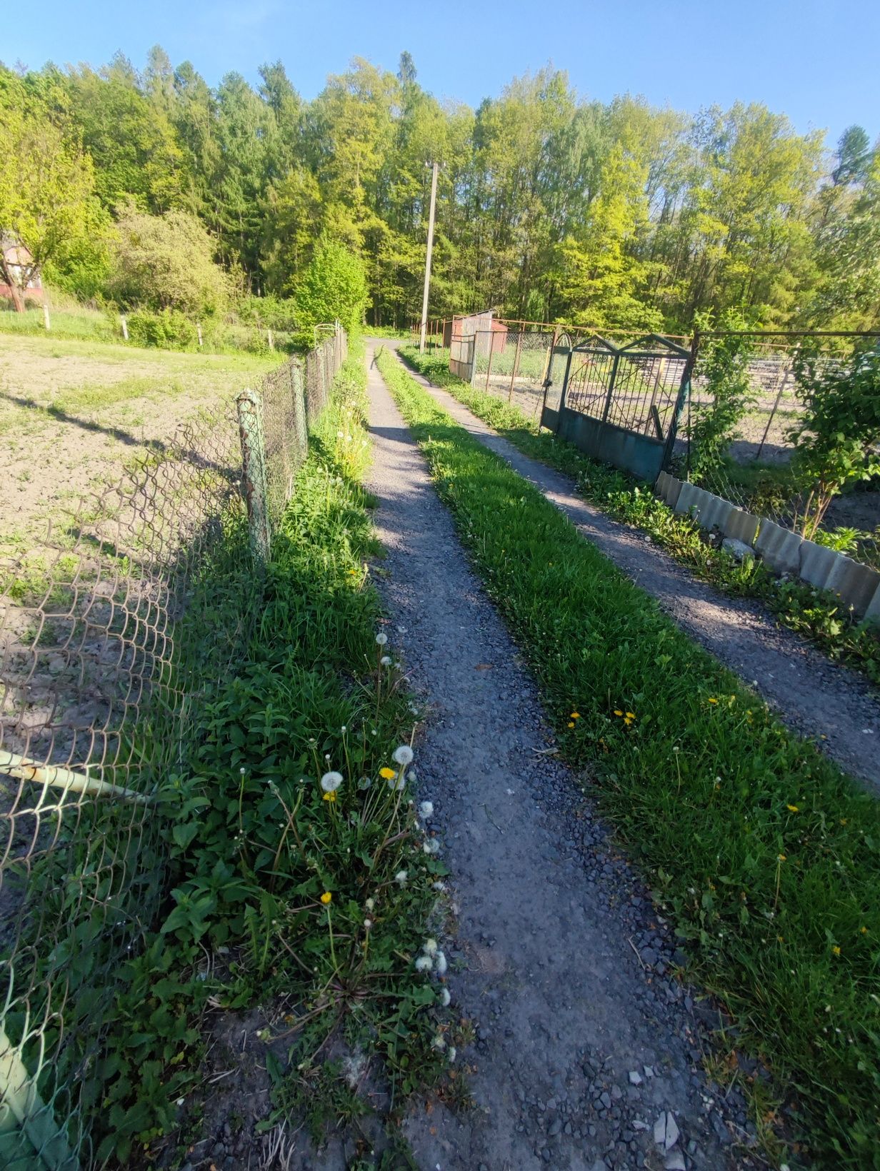 Дачна ділянка,приватизована,дача в межах міста,Жабка,участок,під будів