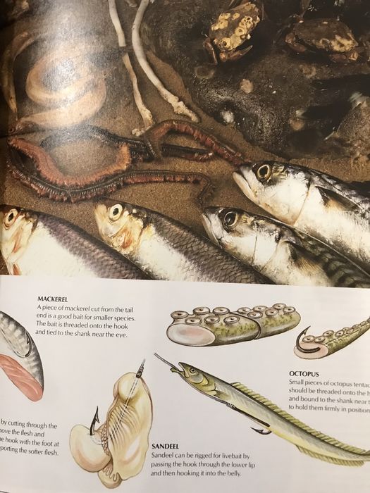 Pesca The complete book of fishing