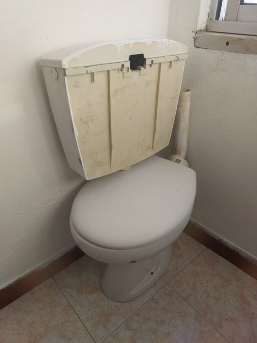 Sanita usada com autocolismo