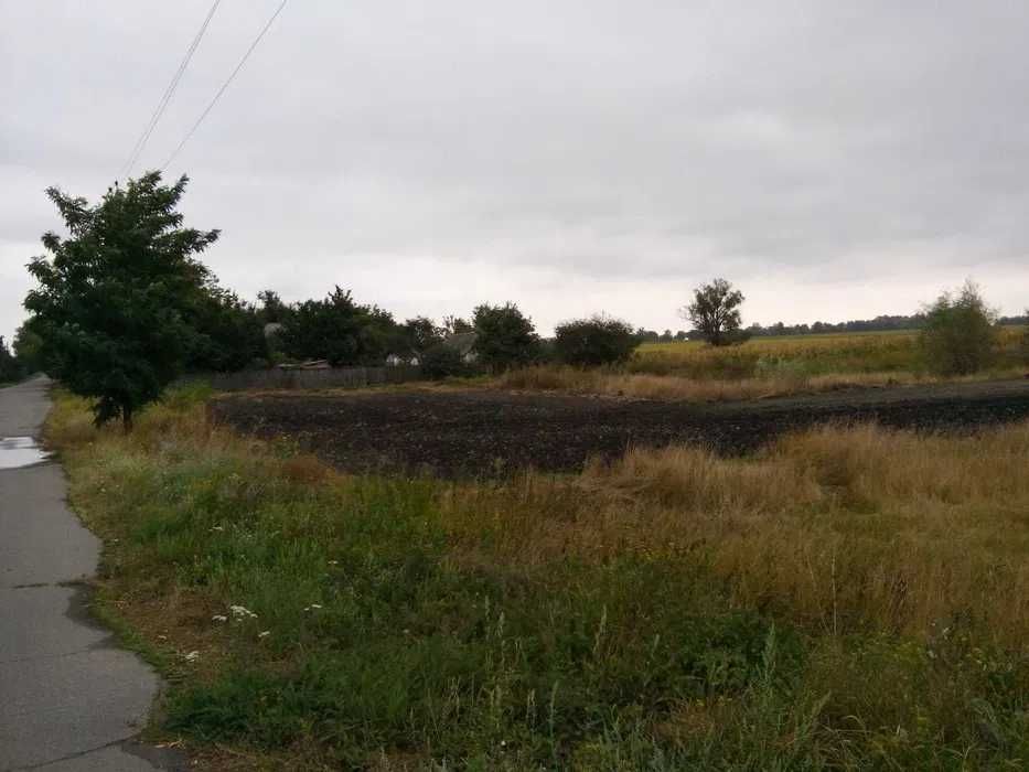 Земельна ділянка, Ватажкове