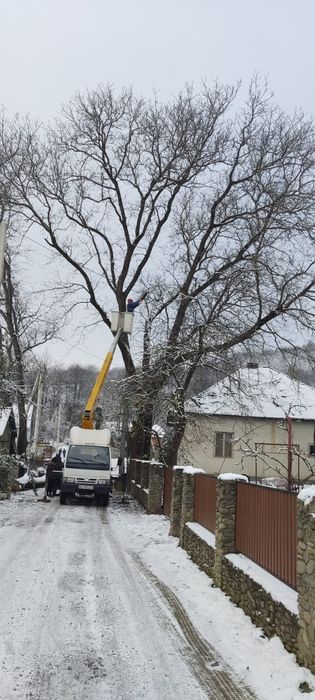Пропоную послуги з видалення, вирізки, вирубки, валки аварійних  дерев