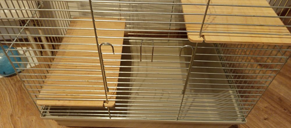 Chomik syryjski (młoda) razem z klatką