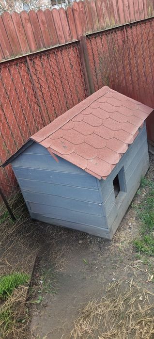 Buda dla średniego psa