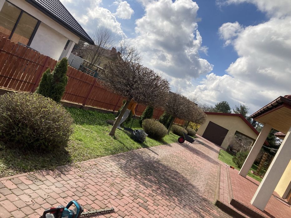Uslugi ogrodnicze, koszenie trawy, ciecie zywopłotów, wycinka drzew